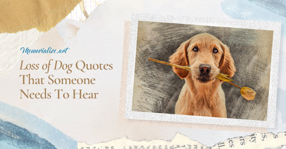 30 Loss of Dog Quotes That Someone Needs To Hear