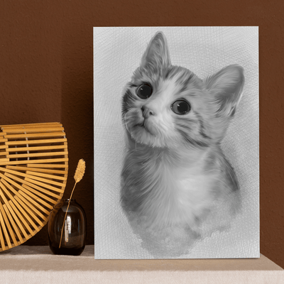 cat charcoal portrait of an adorable fur cat drawn in black and white