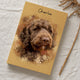 Custom Pet Digital Art