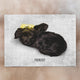 Watercolor Pet Portrait Puzzle