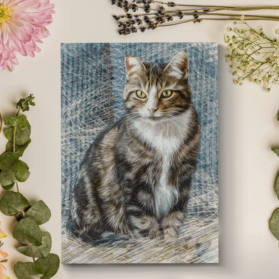 cat colored pencil drawing of an adorable cat