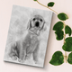 Custom Pencil Pet Portrait