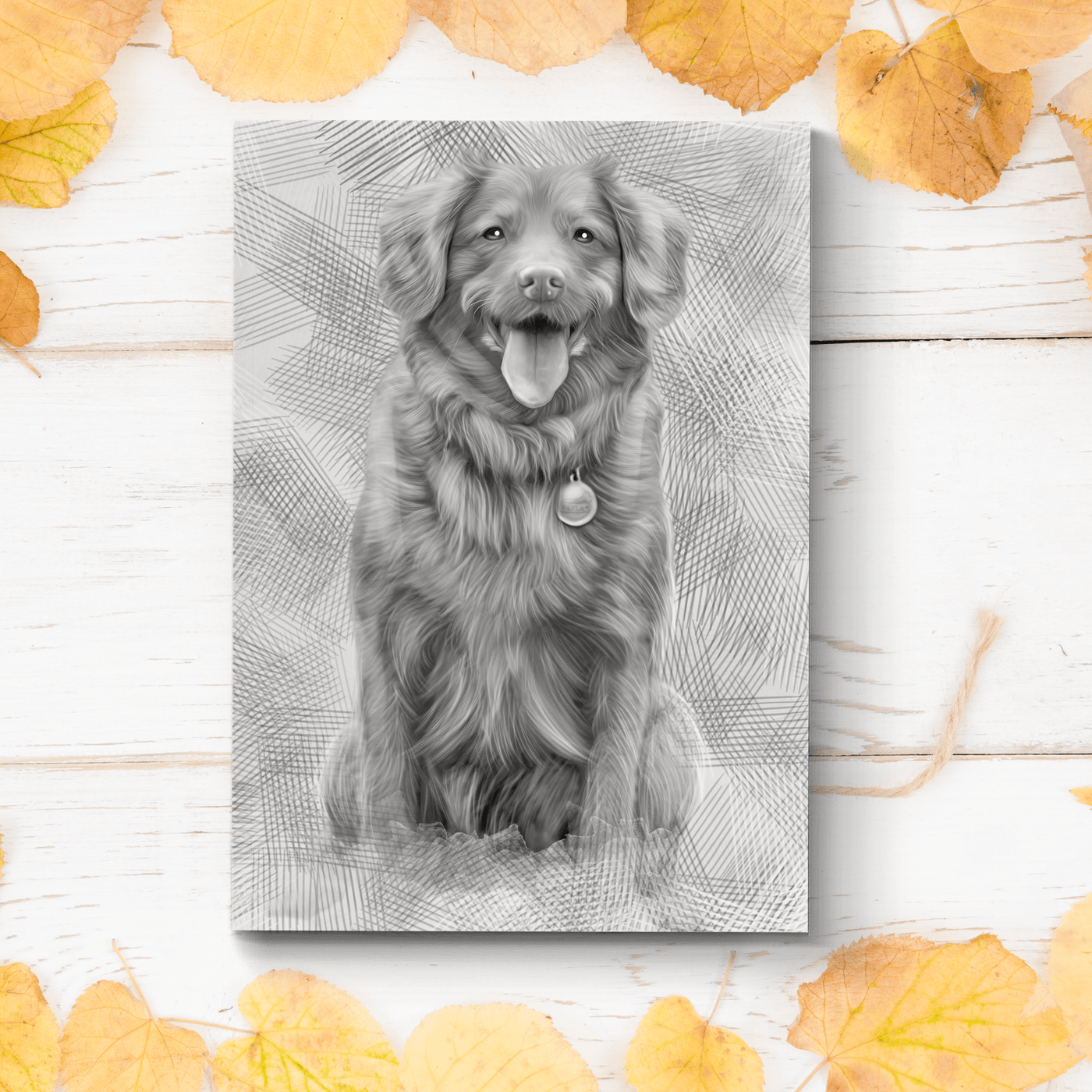 charcoal pet portraits of an adorable fur dog