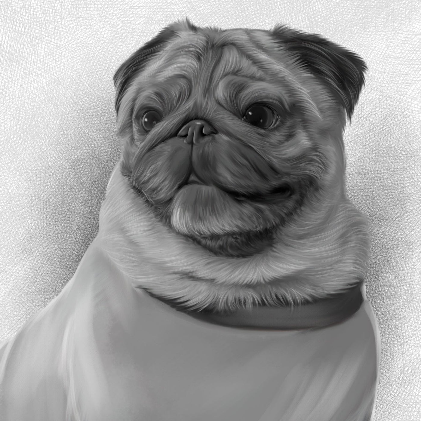 dog pencil drawing of a cute dog with collar drawn in black and white