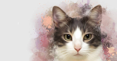 Cat Paintings