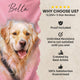 Watercolor Pet Portrait Blanket with Name