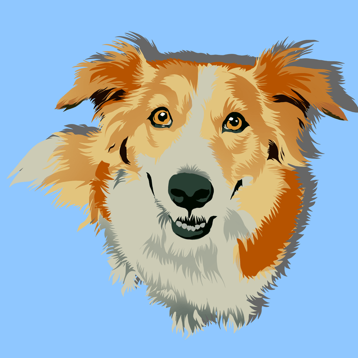 pet memorial vector art of an adorable fur dog