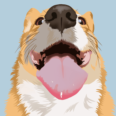 dog vector art of an adorable orange and white tone dog