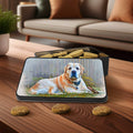 Custom Pet Cookies Tin with Dog Treats