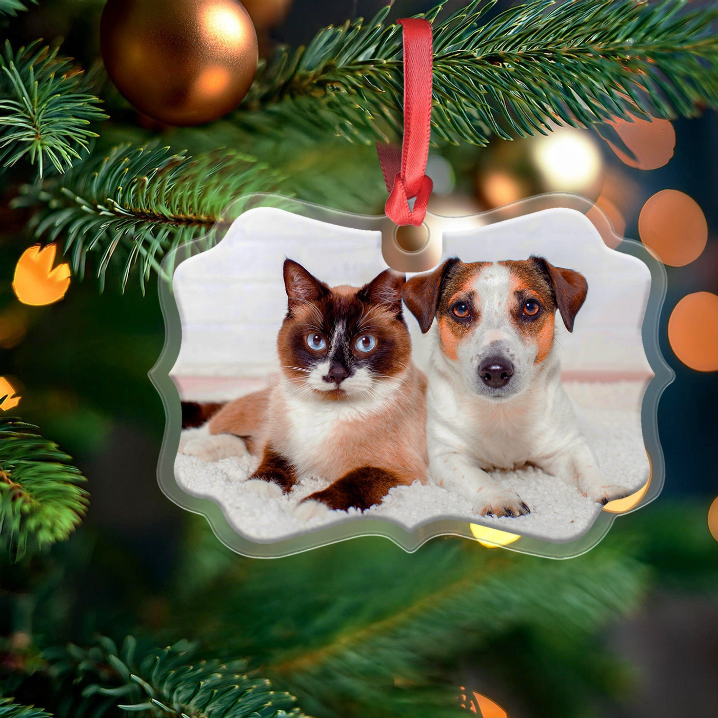 Custom Acrylic Medallion Ornament with Photo