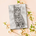 Custom Cat Pencil Sketch