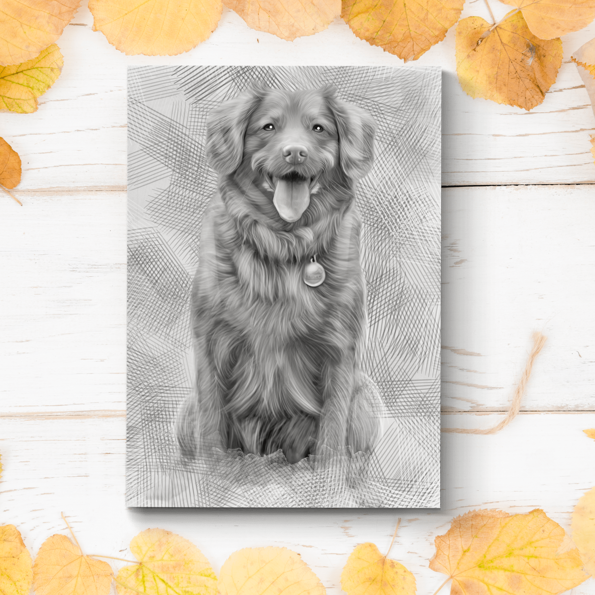 Custom Dog Charcoal Sketch