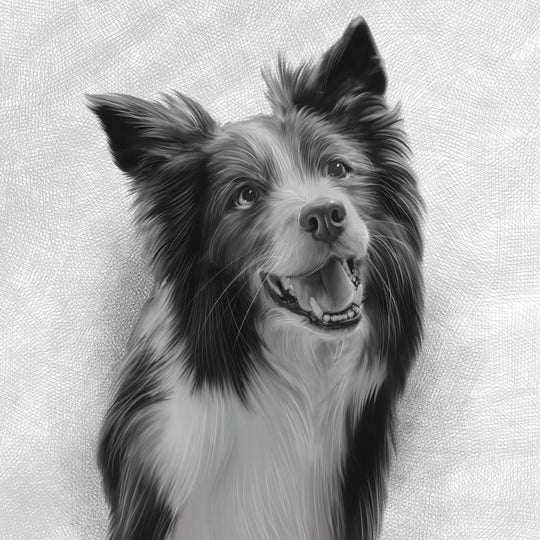 Custom Dog Pencil Drawing | Memorialize Art